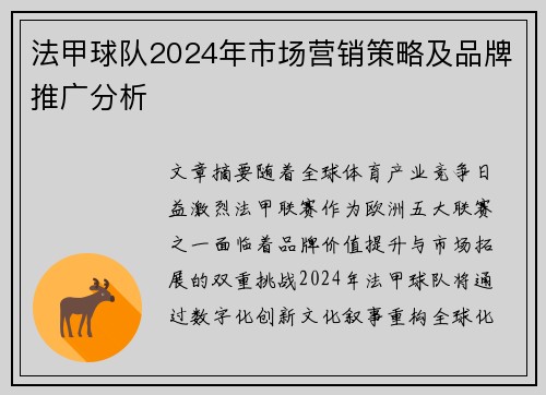 法甲球队2024年市场营销策略及品牌推广分析